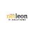 netleonitsolutions